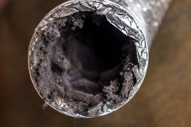 Best Best Air Duct Cleaning Company  in Shell Ridge, CA